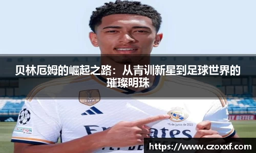 星空体育网站入口